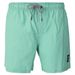Hester  Swim Shorts